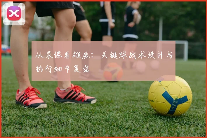 从录像看雄鹿：关键球战术设计与执行细节复盘